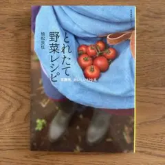 Item thumbnail for item b90cda00-7402-4060-a1d8-7da65a08f8eb