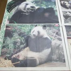 Item thumbnail for item 6a93f273-27d9-436b-a89a-94b1a235989d