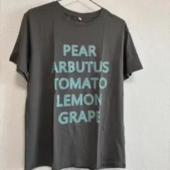 ロゴ プリントTシャツ グレー　Mサイズのサムネイル
