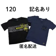 記名あり　ラングラー　キッズ Tシャツ 2枚セット 120cm まとめ売り 恐竜のサムネイル