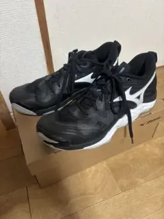 Item thumbnail for item 5a556e7d-2d4c-4e7d-8dac-2b4ed5a61e5b