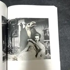セール❣️ 岡上淑子　フォトコラージュ　沈黙の奇蹟　東京都庭園美術館【美術館図録】