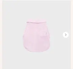 Item thumbnail for item a0bb2551-a78b-40d4-b427-575f32101074