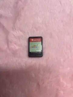 あ*☆様 あつまれ どうぶつの森 Nintendo Switch