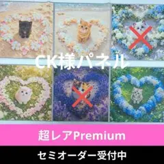 ♡セミオーダー受付中♡ にゃんこと森の動物 猫 936 超レアPremium