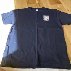 Item thumbnail for item 86ef0ed8-44ac-4108-9c0f-651c0aea3222