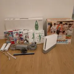 Nintendo Wii 本体（ジャンク）とソフトセット