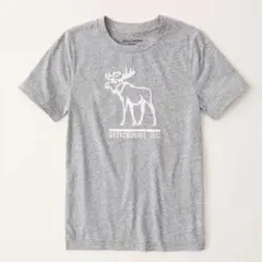 アバクロ ビッグロゴ刺繍 Tシャツ