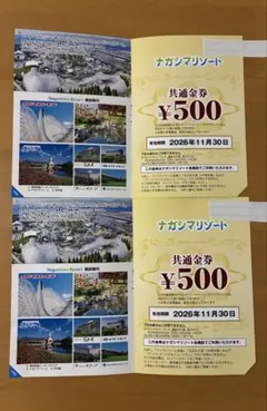 ナガシマリゾート 共通金券 500円券 2枚セットのサムネイル