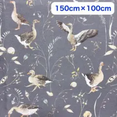 acufactumプリント生地 150cm×100cm【ガチョウ】綿100%
