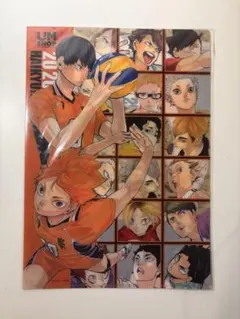 ハイキュー!! JUMP SHOP 2020 クリアファイル 日向翔陽 影山飛雄