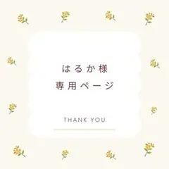 はるか様 リクエスト 2点 まとめ商品