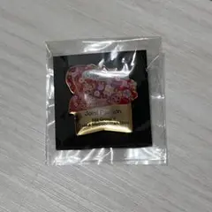【新品未開封】大阪 関西万博 飯田グループ 大阪公立大学パビリオン ピンバッジ