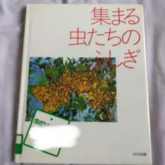 レア☆集まる虫たちのふしぎ 大日本図書