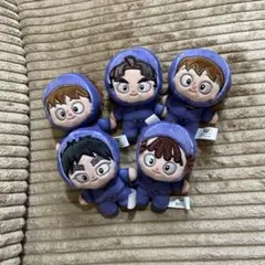 2025年最新】五年生 ほわぬいの人気アイテム - メルカリ