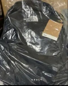 [ノースフェイス] リュック VAULT [並行輸入品]