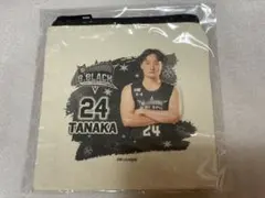 Item thumbnail for item 3a912e8e-3bc4-4bc4-9cda-2c8a342dfe86