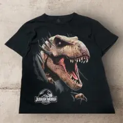 長友様 リクエスト 2点 まとめ商品