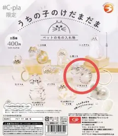 正規品　うちの子のけだまだま　サバトラ　限定1 匿名発送