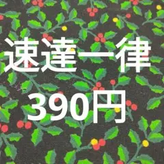 速達一律390円
