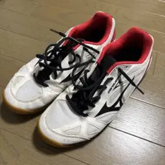 ミズノ　バドミントンシューズ26.0 スカイブラスターのサムネイル