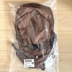 【新品】SALOMON TRAILBLAZER 10 バックパック サロモン