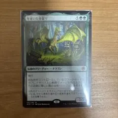 Item thumbnail for item 0437bea4-ecfb-4810-b19b-3f70bb0d8cee