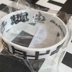 匿名配送／布袋寅泰／HOTEI fes／ラバーバンド／GUITARHYTHM柄