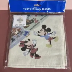 ディズニー　ミッキー ミニー　ウォッシュタオル