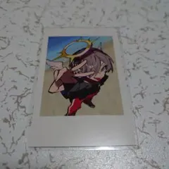 り*ん様 CRAZY RACCOON 　cr　だるまいずごっと　チェキ風カード