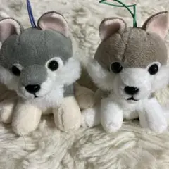 2026年最新】もふっとオオカミの人気アイテム - メルカリ