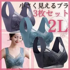 胸を小さく見せるブラ ナイトブラ ブラジャー 2L 美胸 レース 好評 011