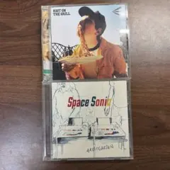 ELLEGARDEN CD 2枚セット エルレガーデン エルレ