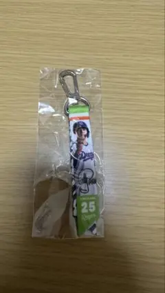 ドラゴンズガチャ　ミニボンフィン　石川昂也