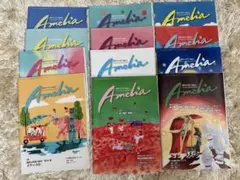 Amelia 翻訳雑誌 2020年12冊セット