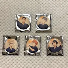 ハイキュー!! 和紙風缶バッジコレクション