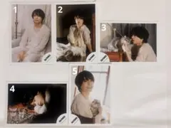 Item thumbnail for item 8002fad0-c1a4-478d-9754-5552d2d766fb