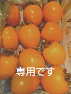 パイン様専用の干し柿作り用 渋柿 ５kg Mサイズ 22個