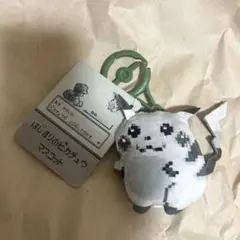 はじまりのピカチュウ　マスコット　30周年　ポケモンセンター
