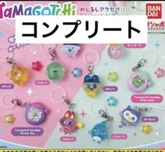 たまごっちパラダイス ぬいピン 12種コンプリートセット♩ - メルカリ