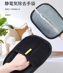 Item thumbnail for item 1aeaf7ae-6b2b-4fc9-95a3-5c6da2845256