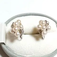 アコヤ真珠　イヤリング　シルバー　ネジ式