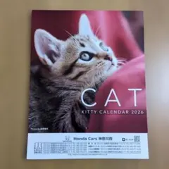 Item thumbnail for item 05886621-f3aa-4228-a47d-73e1f0126f85