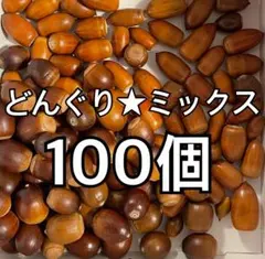 どんぐり★ミックス100個