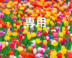 POLA 新品 B.A プレシャス コレクション C クリームセット