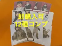 Item thumbnail for item 35adcc78-5bc2-4525-87c8-a84371198220