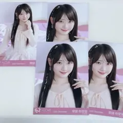 イコラブ アリーナツアー2025 円盤 齋藤樹愛羅 封入 生写真 イコラブ 齋藤樹愛羅 封入 生写真 アリーナツアー 2025 DVD タイプC