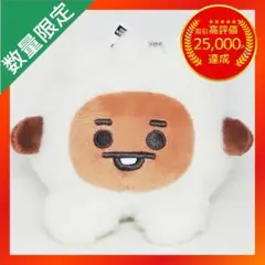 BT21 Eco Fur Baby ふわふわボアぬいぐるみ 【SHOOKY】