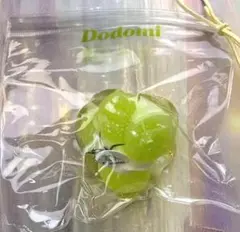 Dodomi ドドミ スクイーズ 牡蠣の身 氷詰め 大人気 ミニ牡蠣 可愛い