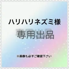 ハリハリネズミ様　専用